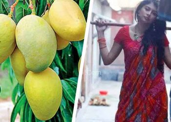 পতিতার নামে আম্রপালি আমের নাম