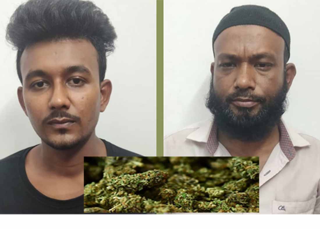 বিল্বাবাড়ির গাঁজা ব্যবসায়ী পলাশ সহ আটক-২