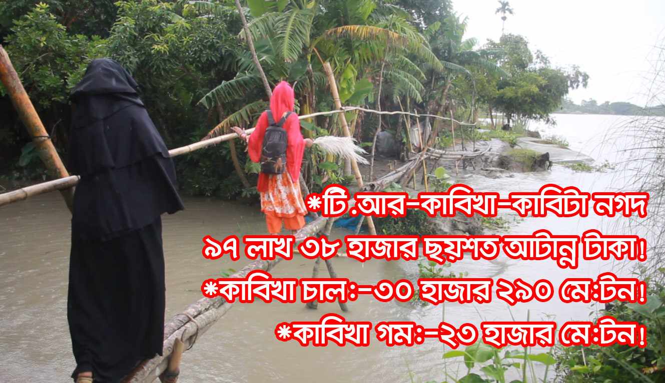 বরিশাল চরবাড়িয়ায় উন্নয়ন, সাঁকোই ভরসা! (ভিডিওসহ)