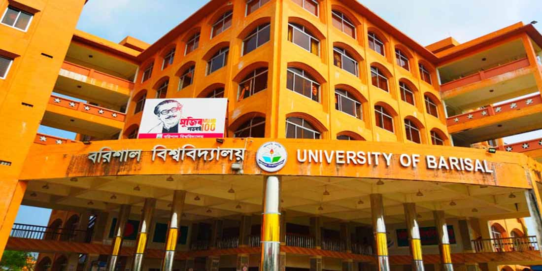 শিক্ষার্থীদের ষড়যন্ত্রের শিকার ববি’র ৩ শিক্ষক!