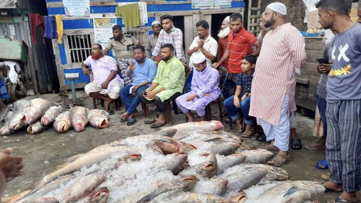 ১৫ দিনে দুলাল ফকিরের জালে ধরা পড়ল ২৬ লাখ টাকার মাছ