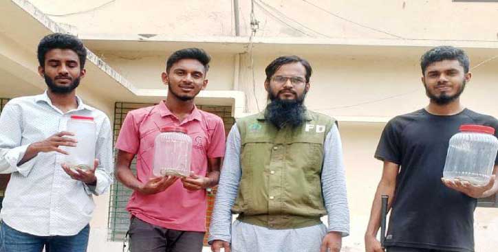 বাসার ছাদ থেকে ৩টি কালনাগিনী সাপ উদ্ধার