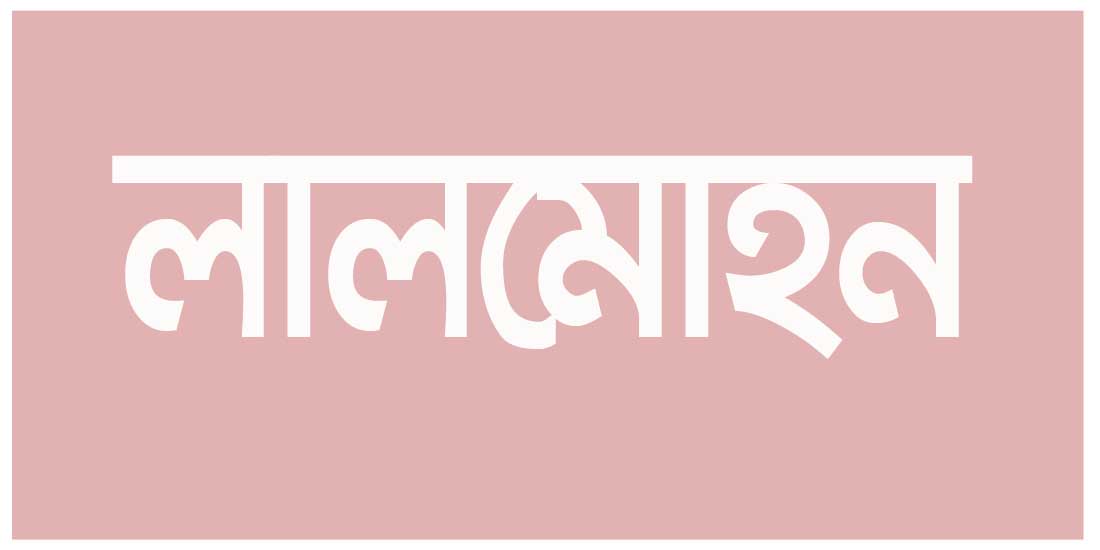 লালমোহনে জালিয়াতি করে জমি দখলের চেষ্টা