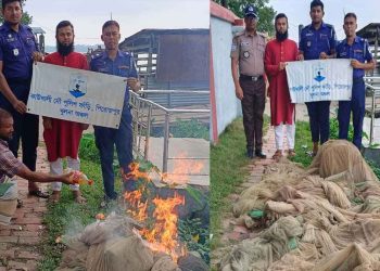 পিরোজপুরে ১০ হাজার রেনু পোনা উদ্ধার, অবৈধ জাল পুড়িয়ে ধ্বংস