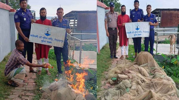 পিরোজপুরে ১০ হাজার রেনু পোনা উদ্ধার, অবৈধ জাল পুড়িয়ে ধ্বংস