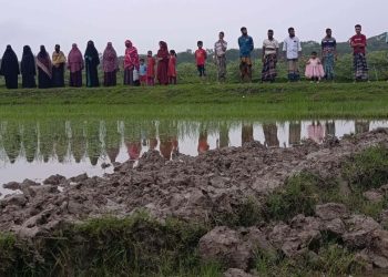 বরগুনায় সরকারি সড়ক কেটে ফসলি জমি তৈরি