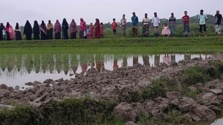 বরগুনায় সরকারি সড়ক কেটে ফসলি জমি তৈরি