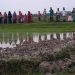 বরগুনায় সরকারি সড়ক কেটে ফসলি জমি তৈরি