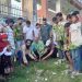 বরিশাল জেলা বিএনপির সদস্য সচিব আবুল কালাম শাহীনের উদ্যোগে বৃক্ষরোপণ কর্মসূচি পালন
