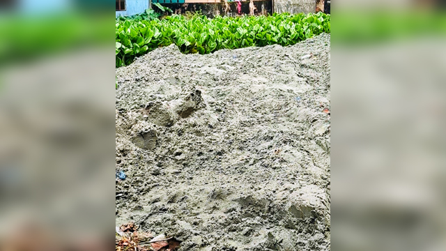 বরিশালে রাতের আঁধারে শতবর্ষী পুকুর ভরাট