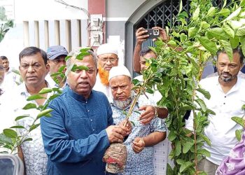 বাউফল সরকারি মাধ্যমিক বিদ্যালয়ের শিক্ষার্থীদের মাঝে গাছের চারা বিতরণ
