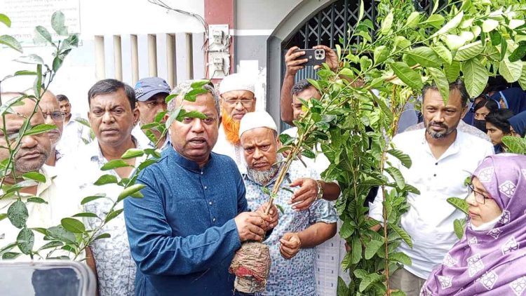 বাউফল সরকারি মাধ্যমিক বিদ্যালয়ের শিক্ষার্থীদের মাঝে গাছের চারা বিতরণ