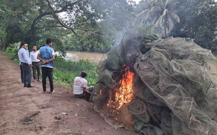 বাউফলে নিষিদ্ধ চায়না দুয়ারি জাল জব্দ, পুড়িয়ে ধ্বংস