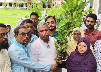 বাউফলে ফলজ, বনজ ও ঔষধি গাছের শত শত চারা বিতরণ