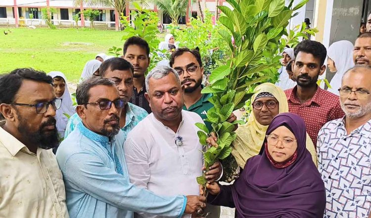 বাউফলে ফলজ, বনজ ও ঔষধি গাছের শত শত চারা বিতরণ