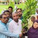 বাউফলে ফলজ, বনজ ও ঔষধি গাছের শত শত চারা বিতরণ