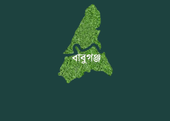 বাবুগঞ্জ