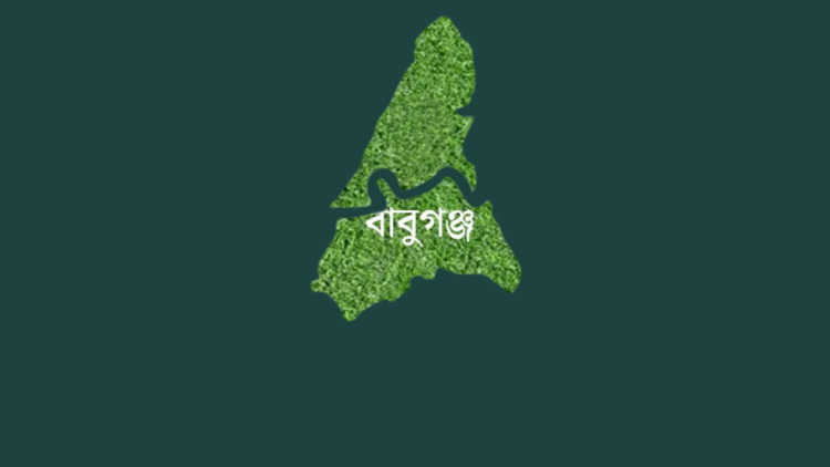 বাবুগঞ্জ