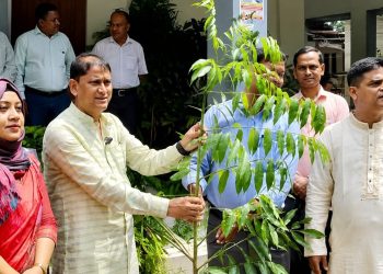 এডিপির অর্থায়নে মান্দায় সবুজায়ন ও স্বাস্থ্যসেবায় নতুন উদ্যোগ