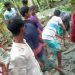 ইউএনও’র নির্দেশ উপেক্ষা, বিএনপি নেত্রীর জমি দখল করে রাস্তা নির্মাণের অভিযোগ