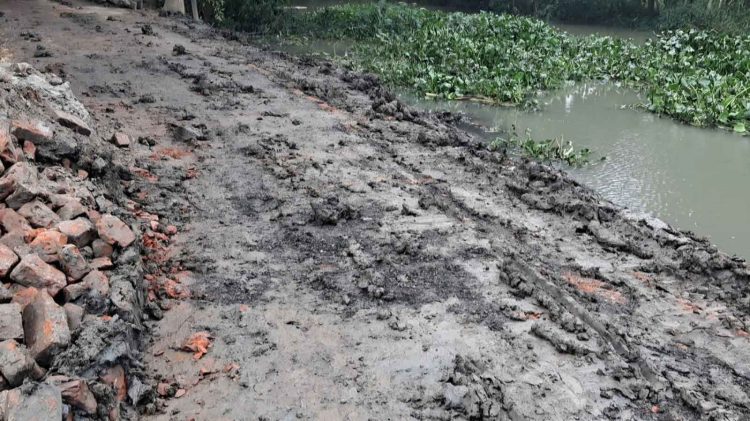উজিরপুরে উদ্বোধনের দুই মাসেই শেষ ৭৫ লাখের সড়ক, উঠছে পিচ-পাথর!