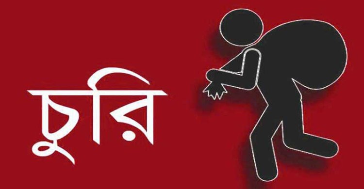 পিরোজপুরে পরিবারের সবাইকে অচেতন করে স্বর্ণালংকার লুট