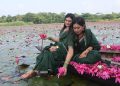 জলের বুকে লাল শাপলার স্বর্গরাজ্য, নতুন সাজে সাতলার শাপলা বিল