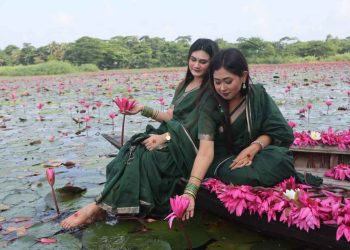 জলের বুকে লাল শাপলার স্বর্গরাজ্য, নতুন সাজে সাতলার শাপলা বিল