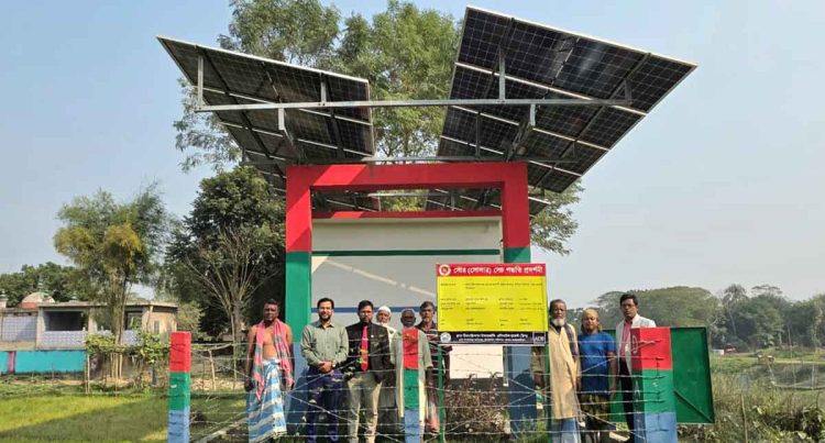 নবীনগরে সোলার সিস্টেমে অনাবাদি জমিতে আউশ আবাদে কৃষকের ভাগ্য বদল