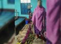 নোয়াখালীতে গৃহবধূকে গলা কেটে হত্যা, আটক ১