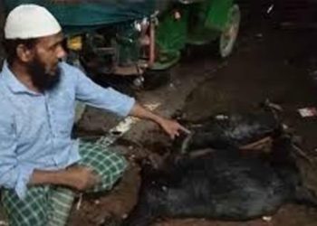 পিরোজপুরে ছাগল হত্যার বিচারের দাবিতে থানায় কৃষক