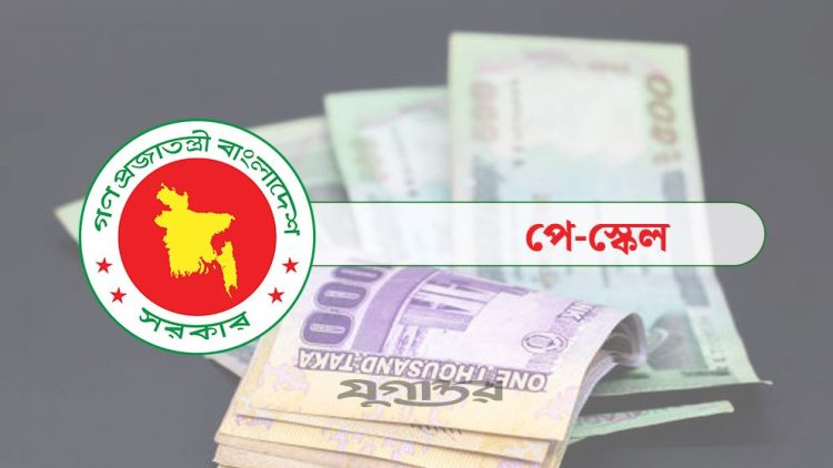সরকারি চাকরিজীবীদের মূল বেতন ১০০ শতাংশ বাড়ানোর সুপারিশ