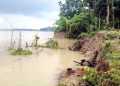বরিশালে নদী ভাঙণে এক রাতে বিলীন ১১ বসতঘর