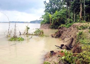 বরিশালে নদী ভাঙণে এক রাতে বিলীন ১১ বসতঘর