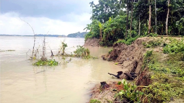 বরিশালে নদী ভাঙণে এক রাতে বিলীন ১১ বসতঘর