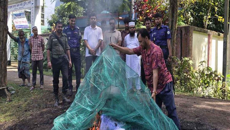 বাউফলে অবৈধ মাছ ধরার জাল ও নিষিদ্ধ পলিথিনের বিরুদ্ধে মোবাইল কোর্ট