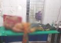 বাগেরহাটে হাঁস নিয়ে বিরোধে দুপক্ষের সংঘর্ষে নিহত ১