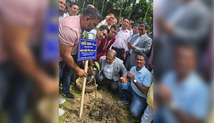 বৃক্ষরোপণকে বিস্তৃত করার আহ্বান প্রধানমন্ত্রীর রাজনৈতিক উপদেষ্টা স্বপনের