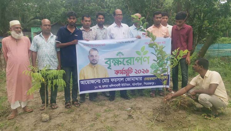 মঠবাড়িয়ায় ইউপি চেয়ারম্যান পদপ্রার্থী ফয়সাল জোমাদ্দারের আয়োজনে বৃক্ষরোপণ কর্মসূচি