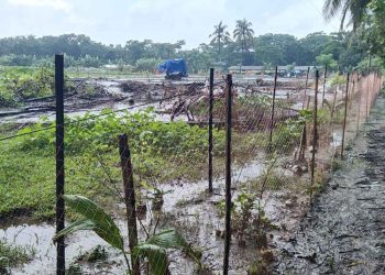 লালমোহনে চলাচলের রাস্তা বন্ধ করে গাছের চারা লাগালেন পৌর প্রশাসক