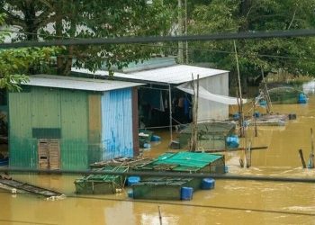 শ্রীলঙ্কায় ভারী বৃষ্টি ও বন্যায় নিহত ৬
