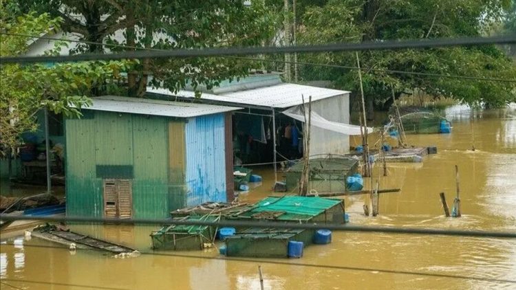 শ্রীলঙ্কায় ভারী বৃষ্টি ও বন্যায় নিহত ৬